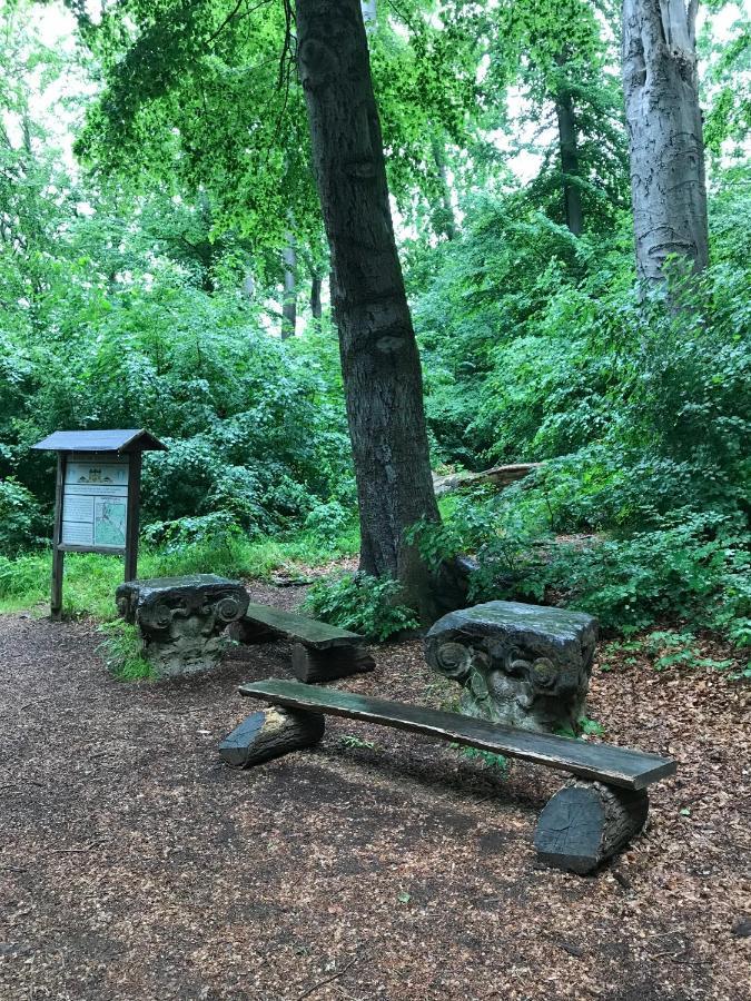 Ferienwohnung Morgensonne Am Kurpark Bad Berka - Parkplatz - Spielplatz - Wlan - 2 Schlafzimmer Exteriér fotografie