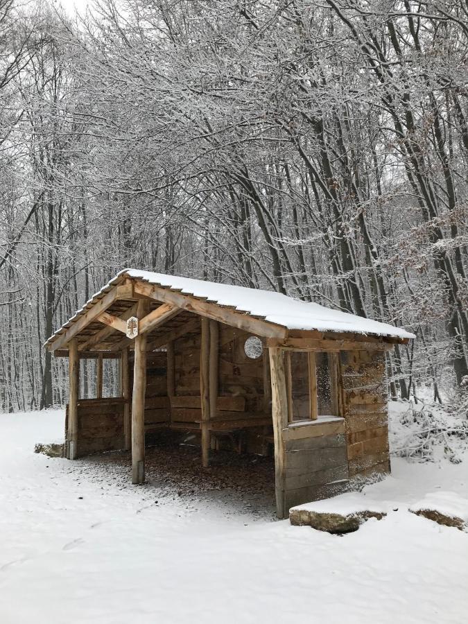 Ferienwohnung Morgensonne Am Kurpark Bad Berka - Parkplatz - Spielplatz - Wlan - 2 Schlafzimmer Exteriér fotografie